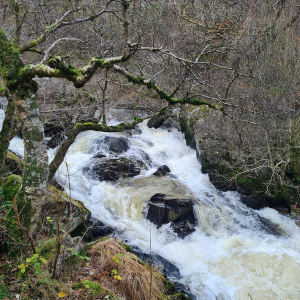 Sound Escape 147: Be calmed by the autumn song of a Welsh mountain river
