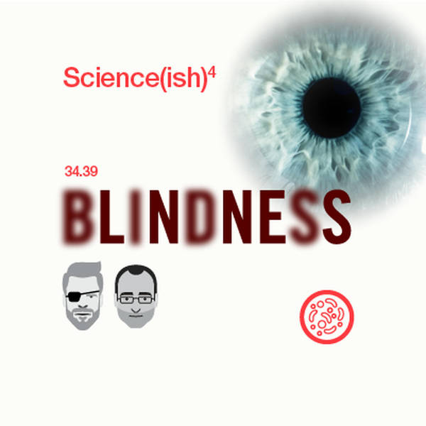 3: Blindness