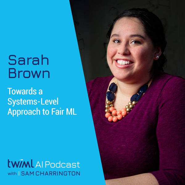 Towards a Systems-Level Approach to Fair ML with Sarah M. Brown - #456