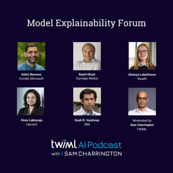 Model Explainability Forum - #401