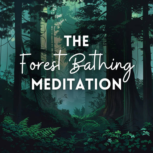 The Forest Bathing Meditation