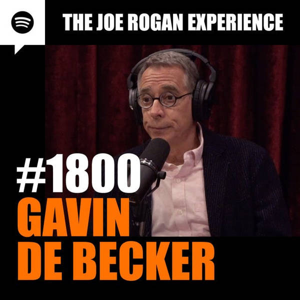 #1800 - Gavin de Becker