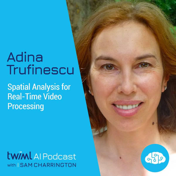 Spatial Analysis for Real-Time Video Processing with Adina Trufinescu