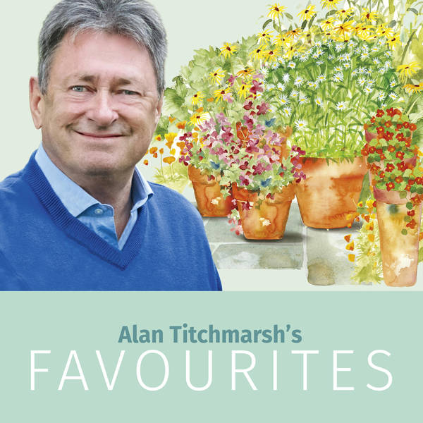 Alan's Favourites: Best Bedding Plants
