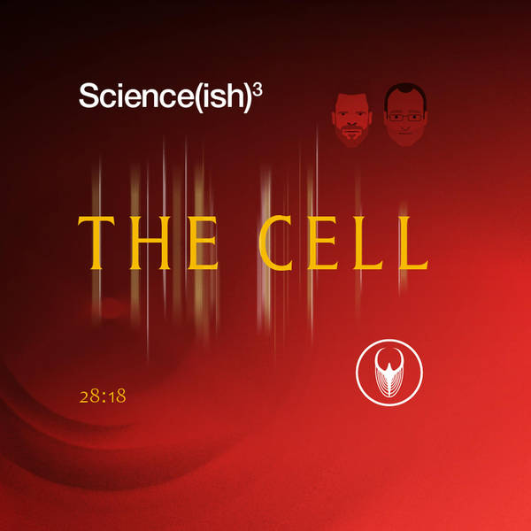 8: The Cell