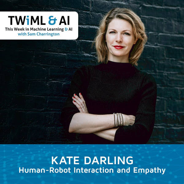Human-Robot Interaction and Empathy with Kate Darling - TWIML Talk #289