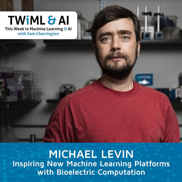 Inspiring New Machine Learning Platforms w/ Bioelectric Computation with Michael Levin - TWiML Talk #282
