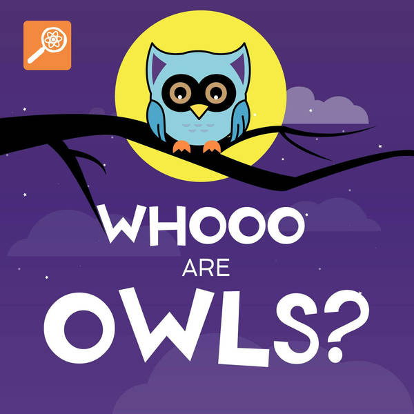 Whooo Are Owls?