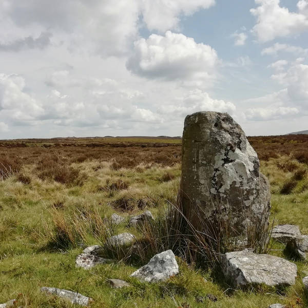 214: A quest to find a mysterious standing stone in a Welsh desert