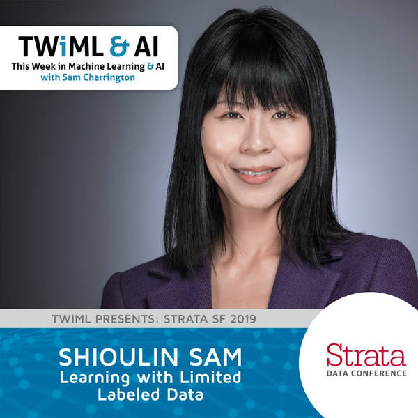 Learning with Limited Labeled Data with Shioulin Sam - TWiML Talk #255