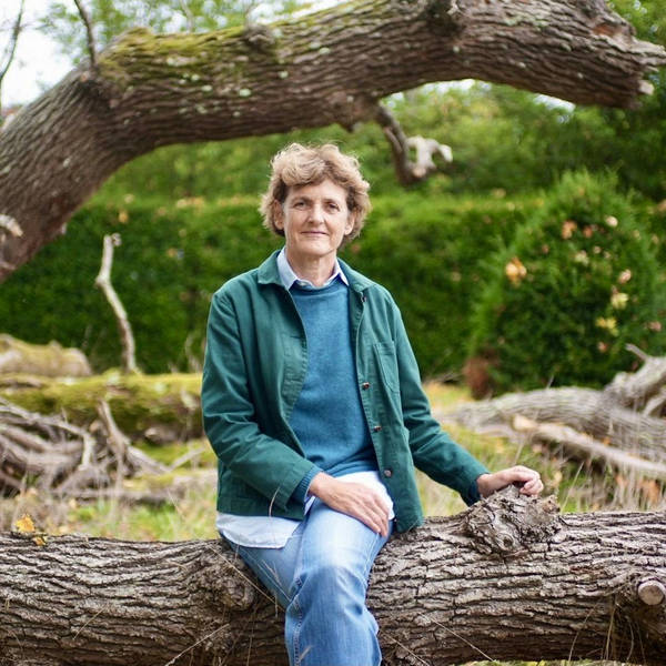 197. Why rewilding can save Britain's wildlife – an interview with Isabella Tree at Knepp Wildlands