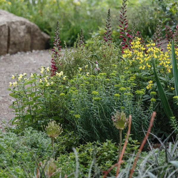 Designing a Resilient Garden