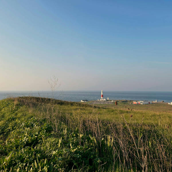 250. Hear migrant birds as they arrive in the UK at Portland Bill in Dorset - with one very special visitor