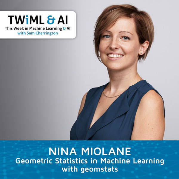 Geometric Statistics in Machine Learning w/ geomstats with Nina Miolane - TWiML Talk #196