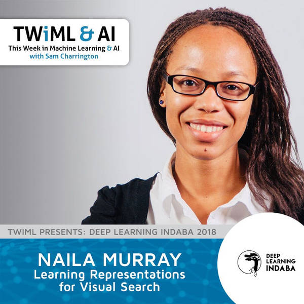 Learning Representations for Visual Search with Naila Murray - TWiML Talk #190