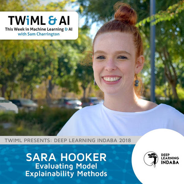 Evaluating Model Explainability Methods with Sara Hooker - TWiML Talk #189