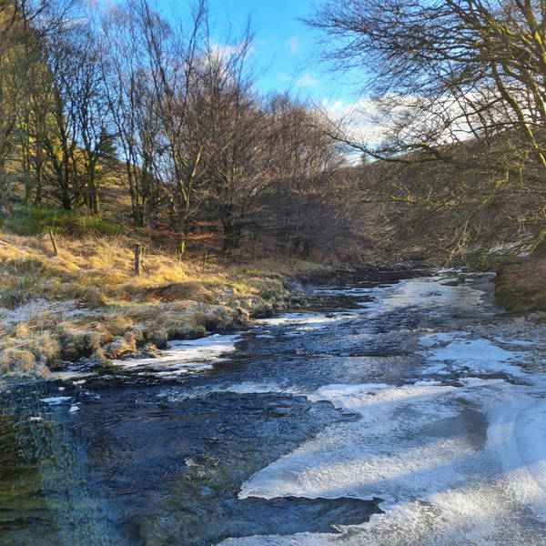 Sound Escape 156. Melodies of a Welsh stream flowing under ice