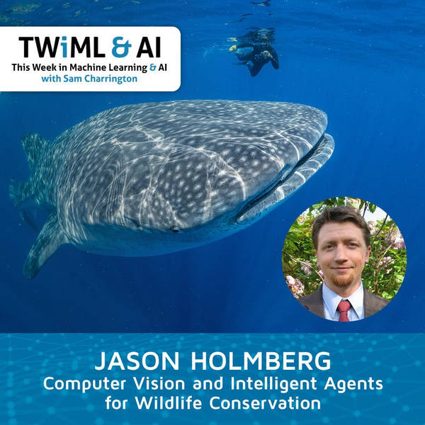 Computer Vision and Intelligent Agents for Wildlife Conservation with Jason Holmberg - TWiML Talk #166