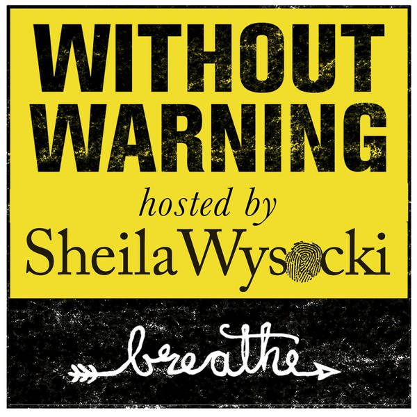 Crowdsourcing Justice™Seeking Sheila - How I Became a Private Investigator