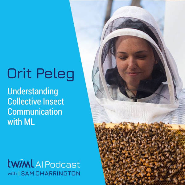 Understanding Collective Insect Communication with ML, w/ Orit Peleg - #590