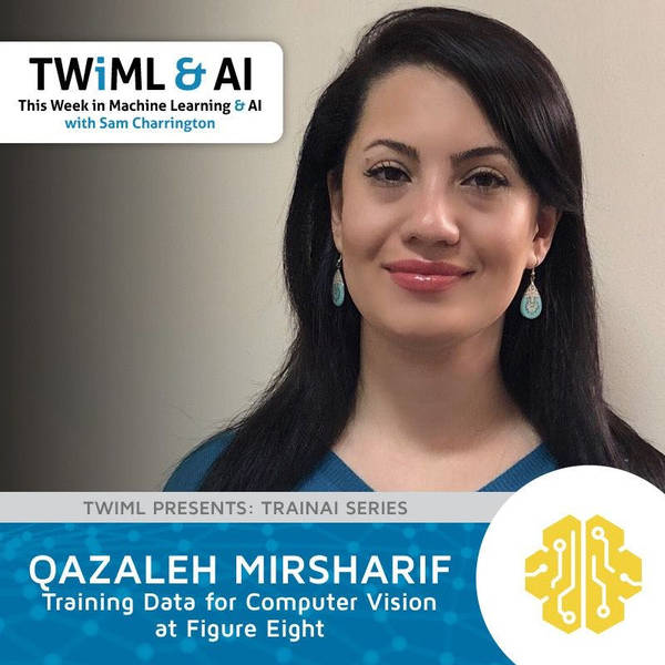 Training Data for Computer Vision at Figure Eight with Qazaleh Mirsharif - TWiML Talk #144