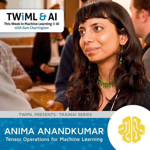 Tensor Operations for Machine Learning with Anima Anandkumar - TWiML Talk #142