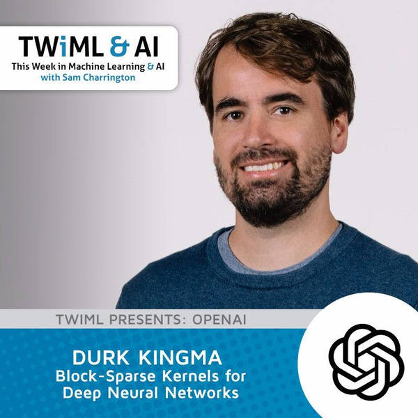 Block-Sparse Kernels for Deep Neural Networks with Durk Kingma - TWiML Talk #80