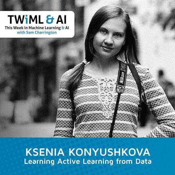 Learning Active Learning with Ksenia Konyushkova - TWiML Talk #116