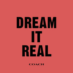 Dream It Real image