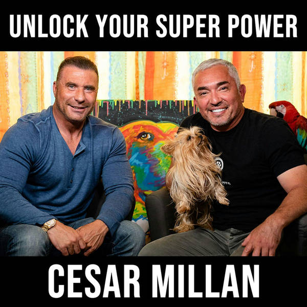 How to Channel Energy to Achieve Your Goals - with Cesar Millan