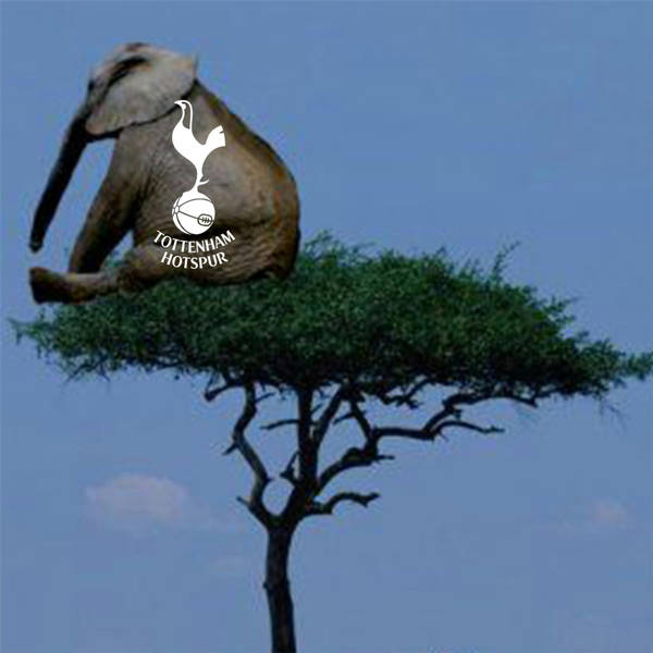 Elephant in a Tree