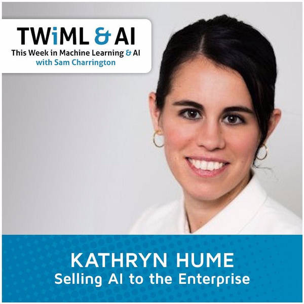 Selling AI to the Enterprise with Kathryn Hume - TWiML Talk #20