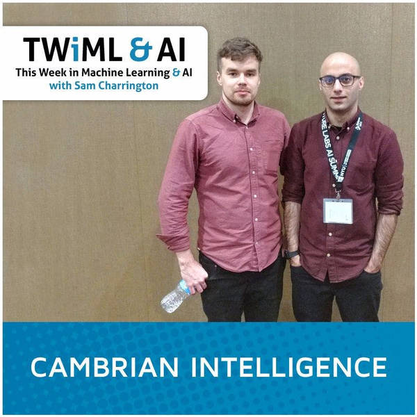 (3/5) Cambrian Intelligence - Using AI to Simplify the Programming of Robots - TWiML Talk #18