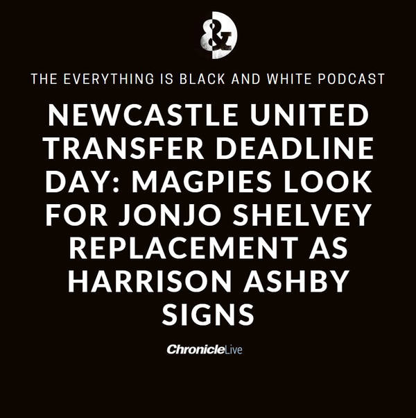 NEWCASTLE UNITED TRANSFER DEADLINE DAY: MAGPIES LOOK FOR JONJO SHELVEY REPLACEMENT AS HARRISON ASHBY SIGNS