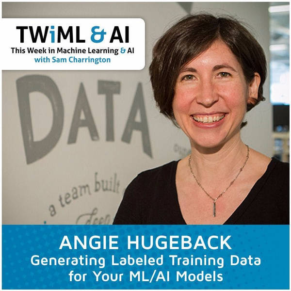 Angie Hugeback - Generating Training Data for Your ML Models - TWiML Talk #6