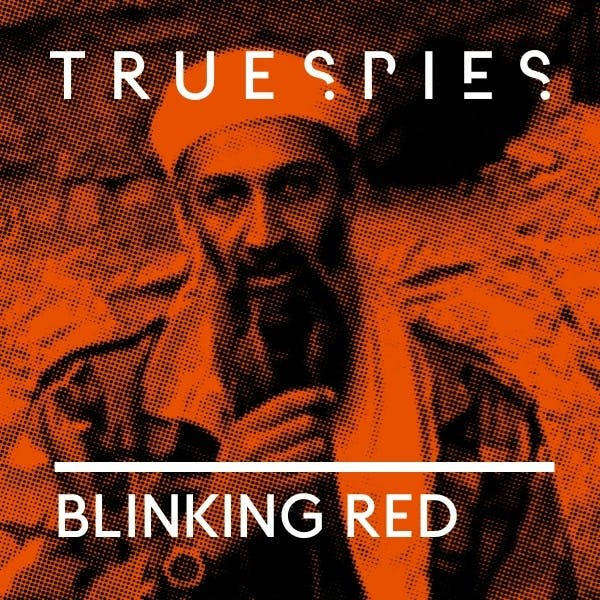 Blinking Red | CIA | Spy Sisters