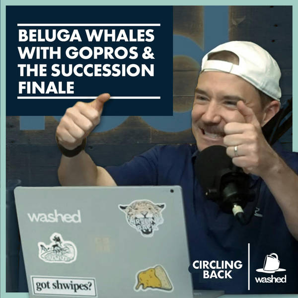 Beluga Whales With GoPros & The Succession Finale