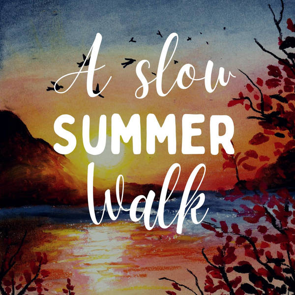A Slow Summer Walk