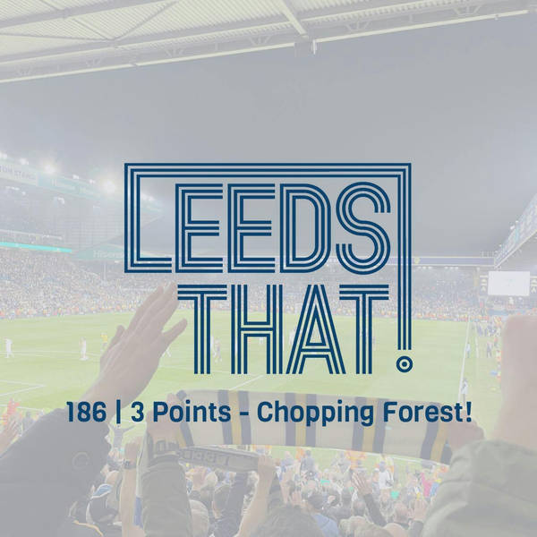 186 | Forest Win! - Safety Assured?