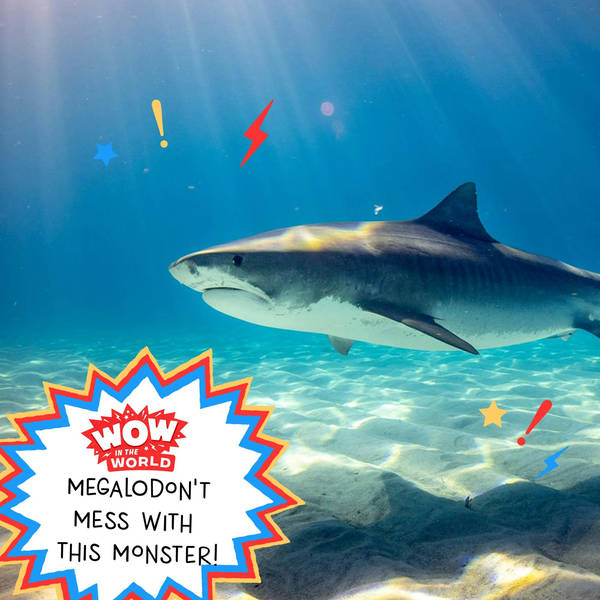 Megalodon't Mess with this Monster!