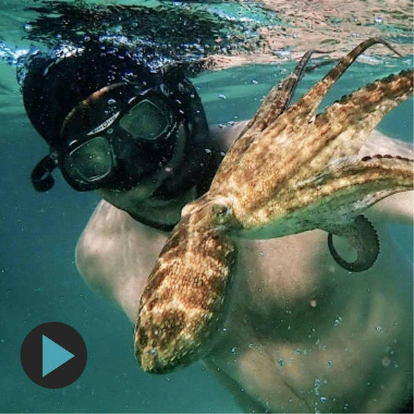 My Octopus Teacher star Craig Foster - How to be Wild