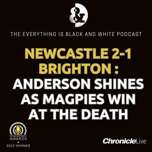 NEWCASTLE UNITED 2-1 BRIGHTON: ELLIOT ANDERSON SHINES AS MAGPIES WIN AT THE DEATH