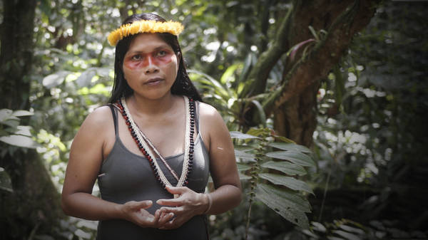 The forest is our teacher. It's time to respect it | Nemonte Nenquimo