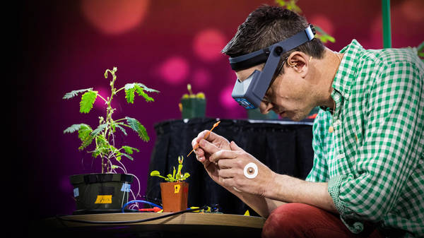 Electrical experiments with plants that count and communicate | Greg Gage