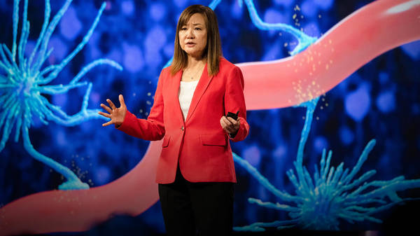 Could we treat Alzheimer's with light and sound? | Li-Huei Tsai