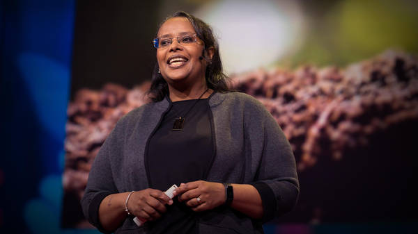 A climate change solution that's right under our feet | Asmeret Asefaw Berhe