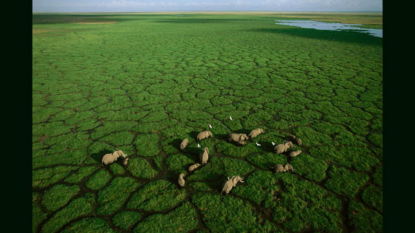 Photos of Africa, taken from a flying lawn chair | George Steinmetz