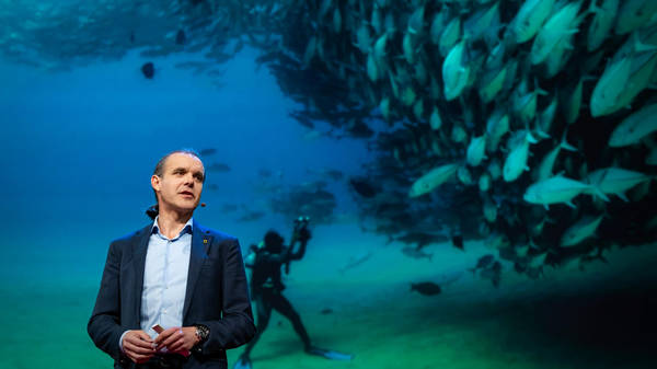 Let's turn the high seas into the world's largest nature reserve | Enric Sala