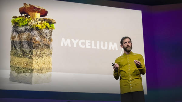 The future of fashion -- made from mushrooms | Dan Widmaier