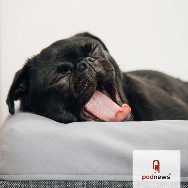 “Too boring”: number one reason why people stop listening